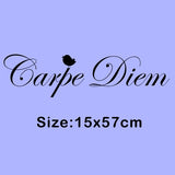 Carpe Diem Vinyl Wall Decal
