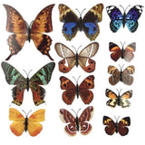 3D Magnet Butterfly Wall Stickers Butterflies Decors