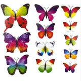 3D Magnet Butterfly Wall Stickers Butterflies Decors
