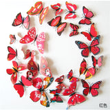 Butterfly Decals 3D Wall Stickers Home